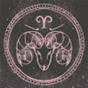 Meet your Posher, Janay